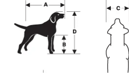 Dog measurement diagram